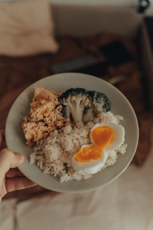 Healthy portioned meal with lean protein, rice, and vegetables on a plate